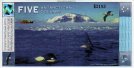 $5 Antartici (1-3-1996): Retro