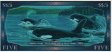 $$5 dell\'Isola delle Sorgenti Salate (15-9-2001): Retro