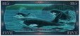 $$5 dell\'Isola delle Sorgenti Salate (15-9-2001): Retro